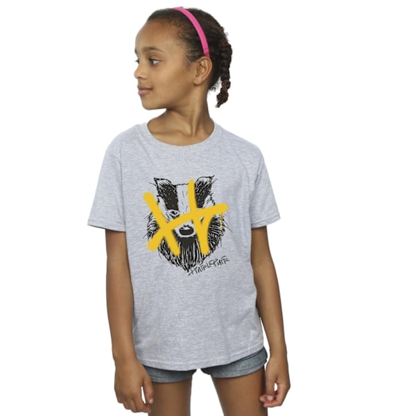 Harry Potter Flickor Hufflepuff Pop Spray Bomull T-shirt 12-13 År Sports Grey 12-13 Years