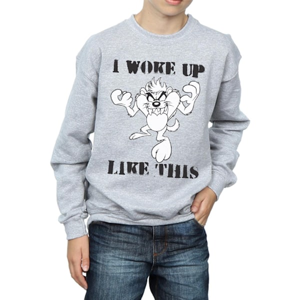 Looney Tunes Boys Taz I Woke Up Like This Sweatshirt 5-6 år Sports Grey 5-6 Years