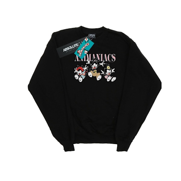 Animaniacs Herr Grupp Hopp Sweatshirt 4XL Svart Black 4XL