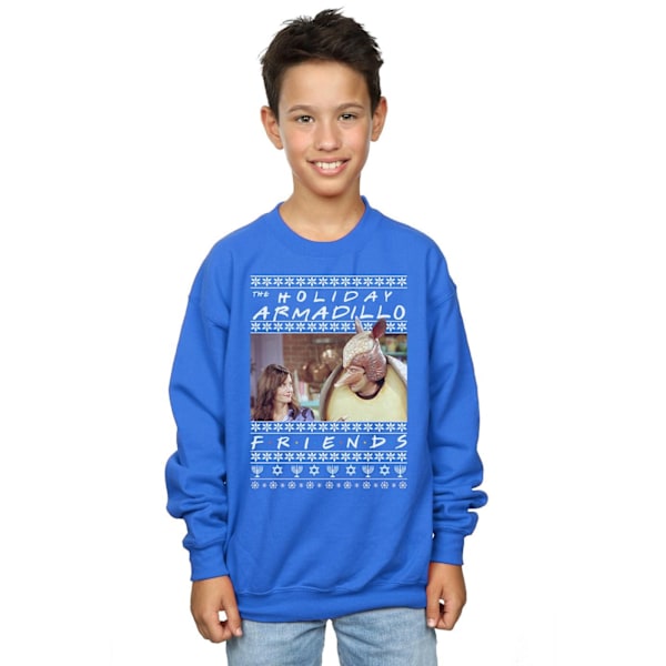 Friends Boys Fair Isle Holiday Armadillo Sweatshirt 7-8 år R Royal Blue 7-8 Years