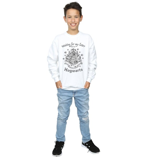 Harry Potter Boys Hogwarts Väntar På Mitt Brev Sweatshirt 9-1 White 9-11 Years