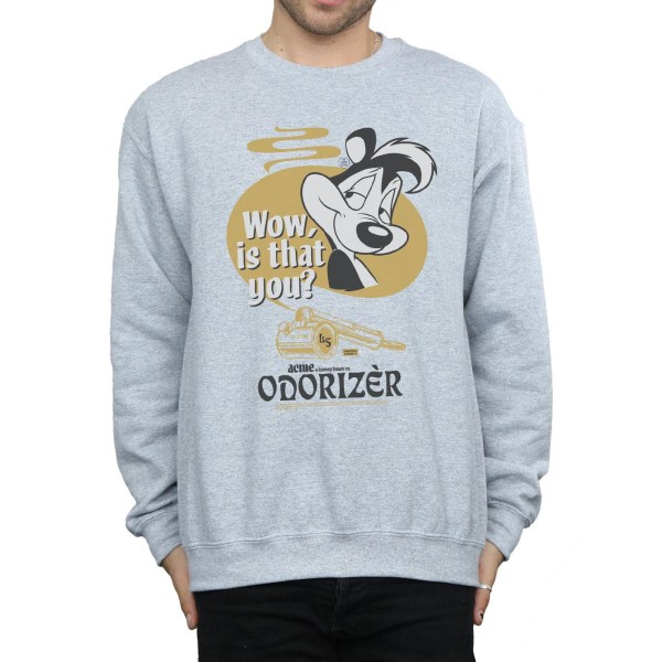 Looney Tunes Mens Odorizer Pepe Le Pew Sweatshirt XL Sports Grå Sports Grey XL