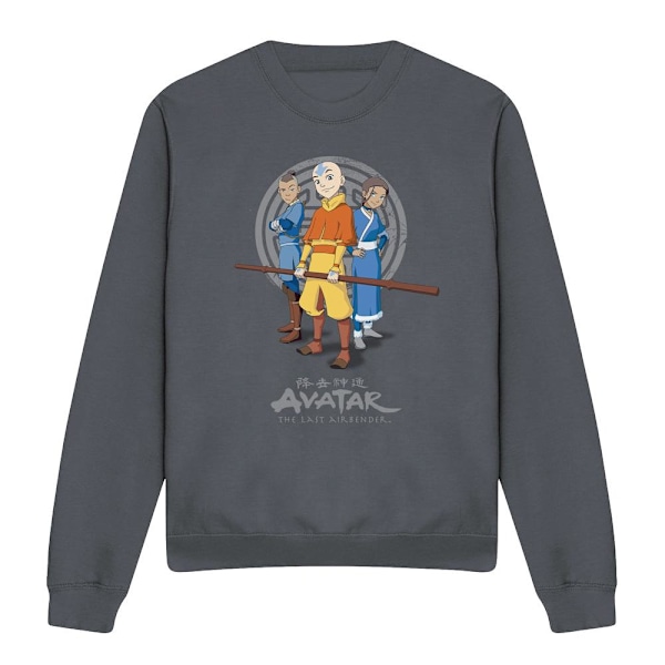Avatar: The Last Airbender Unisex Vuxen Team Avatar Sweatshirt Charcoal L