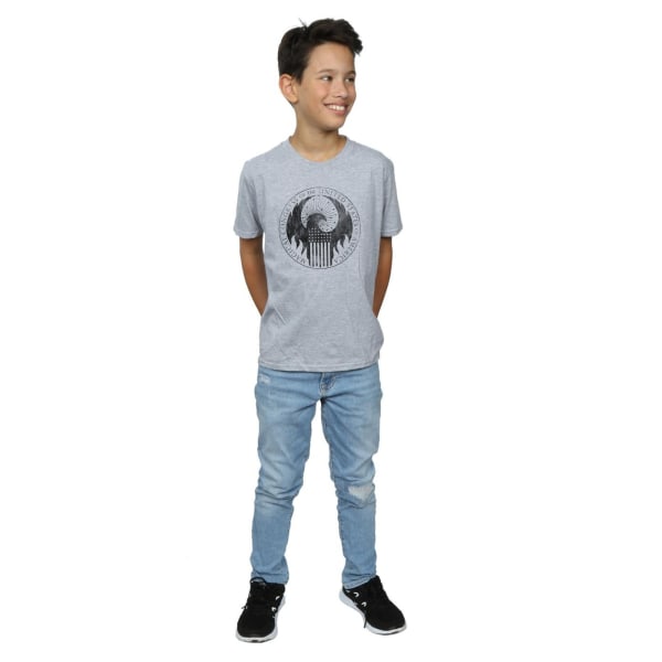 Fantastic Beasts Boys Distressed Magical Congress T-Shirt 5-6 Y Sports Grey 5-6 Years