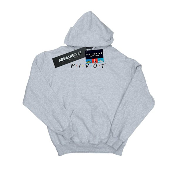 Friends Mens Pivot Logo Hoodie S Sports Grey Sports Grey S