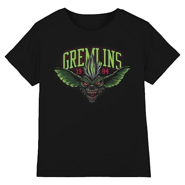 Gremlins Unisex Vuxen 1984 Stripe T-Shirt M Svart/Grön Black/Green M