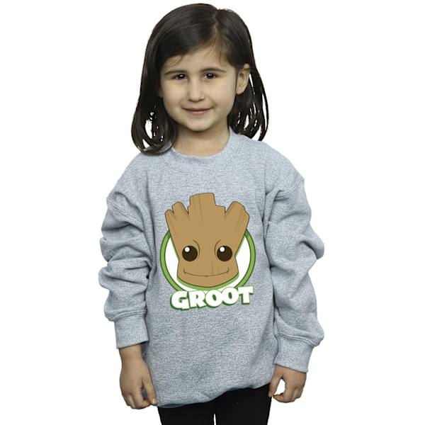 Guardians Of The Galaxy Girls Groot Badge Sweatshirt 12-13 År Sports Grey 12-13 Years