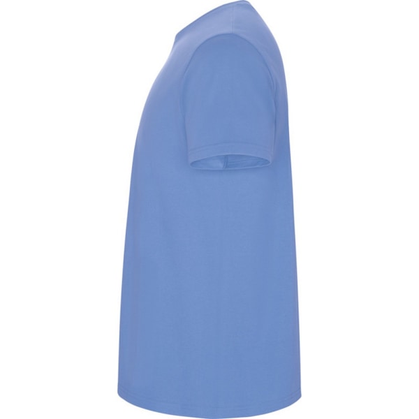 Roly Barn/Barn Stafford Kortärmad T-shirt 9-10 År S Sky Blue 9-10 Years