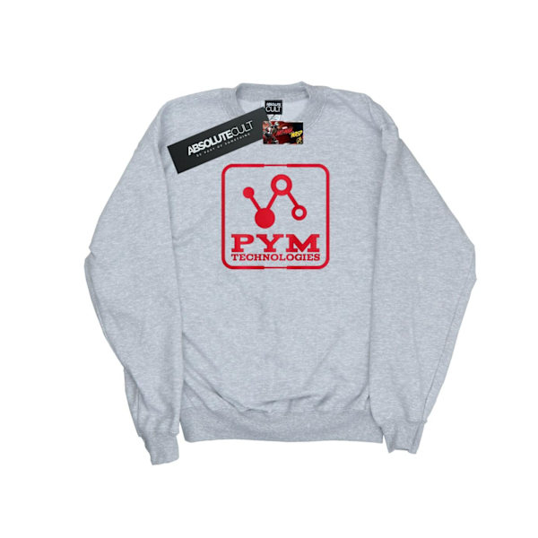 Marvel Dam/Kvinnor Ant-Man And The Wasp Pym Technologies Sweatshirt Sports Grey S