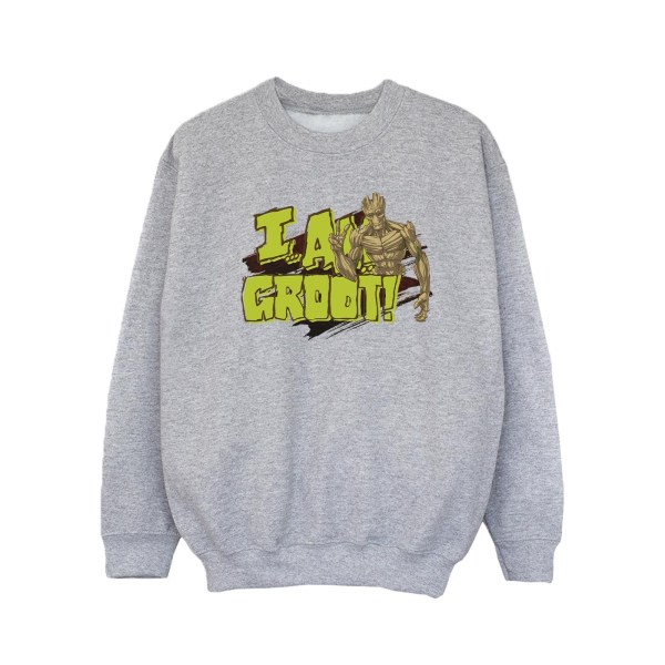 Guardians Of The Galaxy Girls I Am Groot Sweatshirt 3-4 Years S Sports Grey 3-4 Years