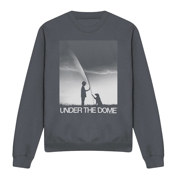Under the Dome Unisex Vuxen I´m Spielberg Sweatshirt M Kolgrå Charcoal M