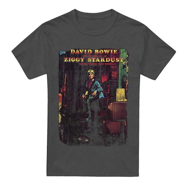 David Bowie Unisex Vuxen Ziggy Stardust Album T-Shirt M Kolgrå Charcoal M