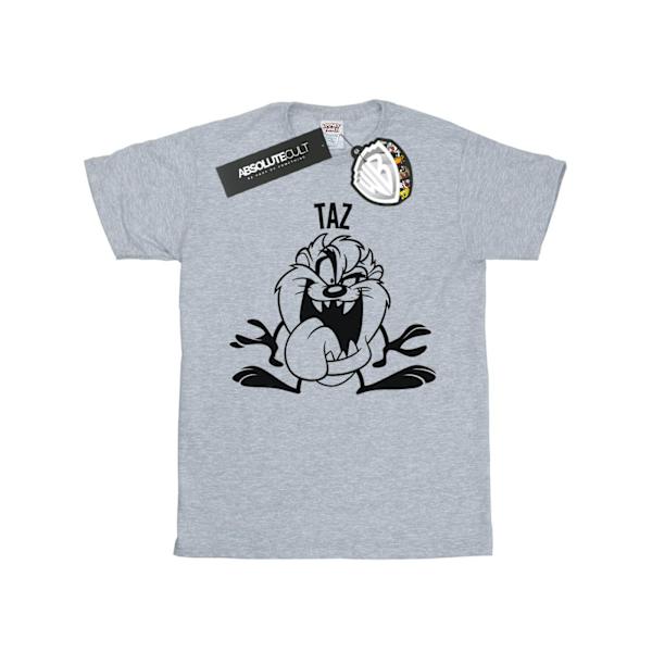 Looney Tunes Herr Taz Stor Huvud T-shirt L Sports Grey Sports Grey L