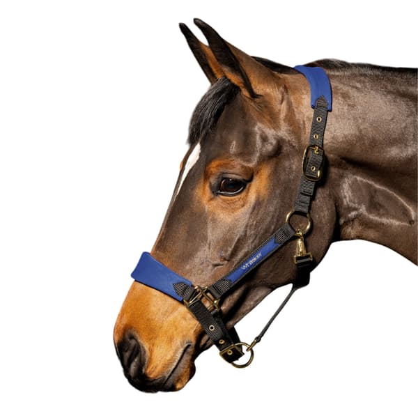 Whitaker Harewood Hästhuvudkrage Full Navy Navy Full