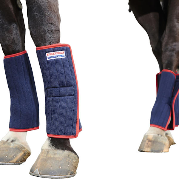 Whitaker Hästlindor (4-pack) One Size Marinblå Navy One Size