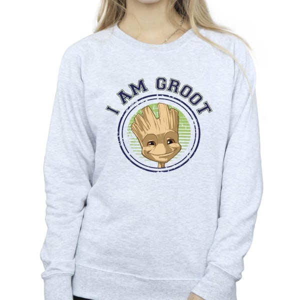 Guardians Of The Galaxy Dam/Ladies Groot Varsity Sweatshirt Sports Grey XXL