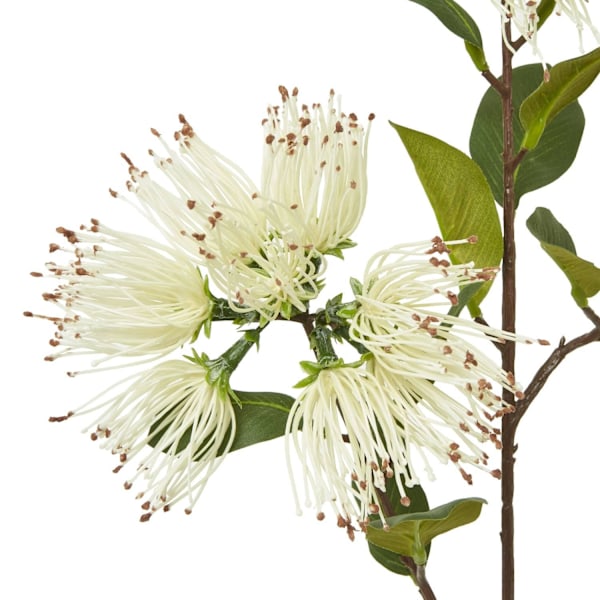 Hill Interiors Protea Nitida Stjälk Konstgjord Blomsterspray En S Cream One Size