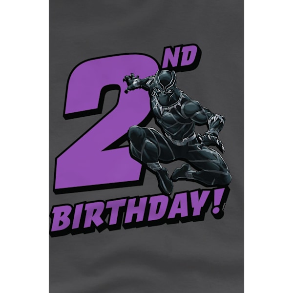 Black Panther Barn/Kids 2-års Födelsedag T-shirt 3-4 År Kol Charcoal 3-4 Years