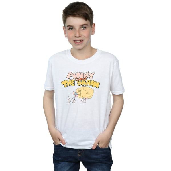 Animaniacs Boys Pinky And The Brain Cheese Head T-Shirt 7-8 År White 7-8 Years