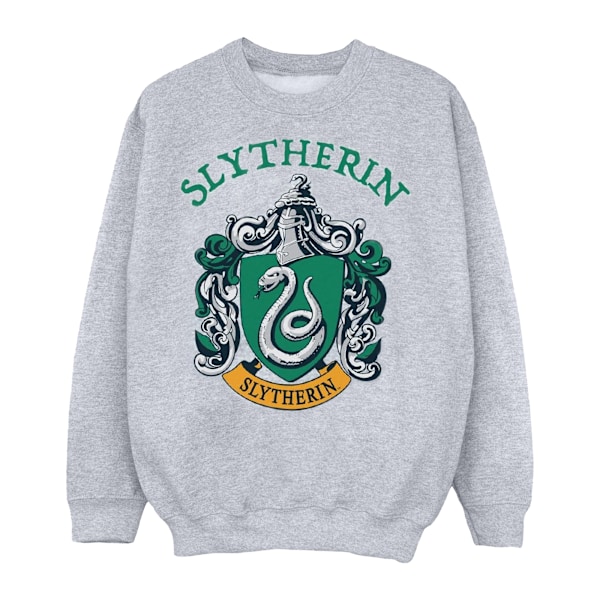 Harry Potter Pojkar Slytherin Crest Sweatshirt 5-6 År Sport Grå Sports Grey 5-6 Years