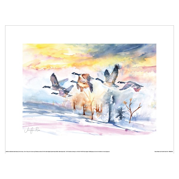 Jennifer Rose Gäss Vinterhimmel Tryck 50cm x 40cm x 0.1cm Multic Multicoloured 50cm x 40cm x 0.1cm