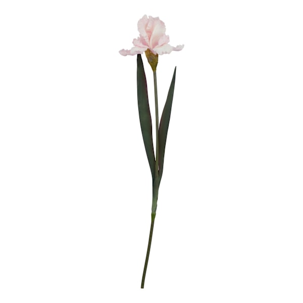 Hill Interiors The Natural Garden Collection Fringed Iris Konstgjord Pale Pink One Size
