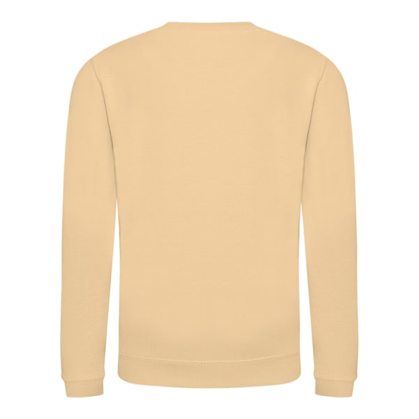 AWDis Just Hoods Barn/Barn Plain Crew Neck Sweatshirt 9-11 Desert Sand 9-11 Years