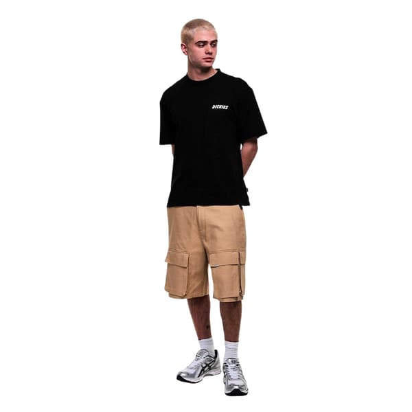 Dickies Herr Logotyp T-shirt XL Svart Black XL