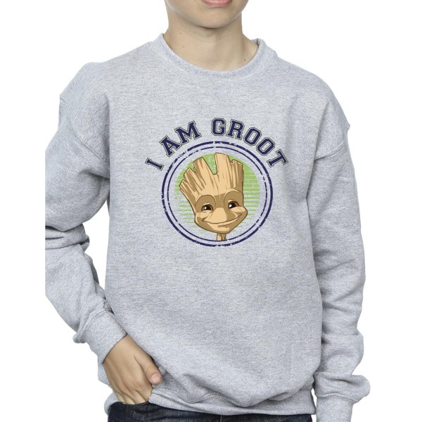 Guardians Of The Galaxy Boys Groot Varsity Sweatshirt 7-8 år Sports Grey 7-8 Years