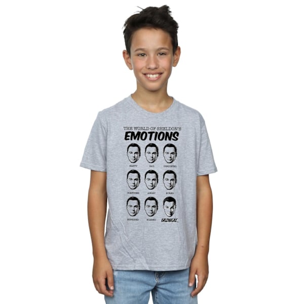 The Big Bang Theory Pojkar Sheldon Känslor Bomulls T-shirt 12-13 Sports Grey 12-13 Years