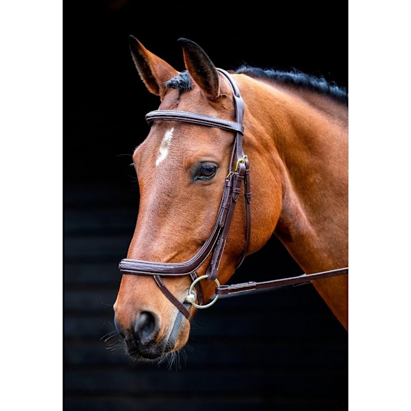 Salisbury Buckingham Läder Hästgrimma Cob Australian Nut Australian Nut Cob