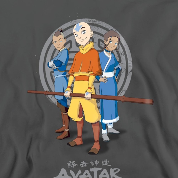 Avatar: The Last Airbender Unisex Vuxen Team Avatar Sweatshirt Charcoal L