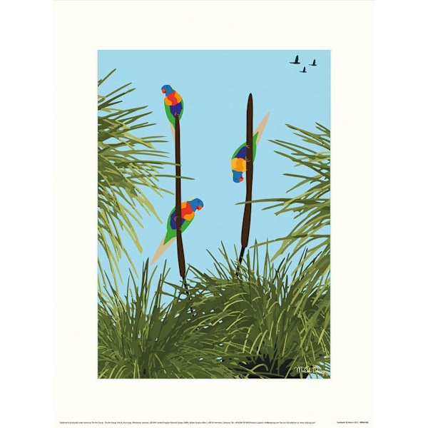 Mokoh Lorikeet Print 30cm x 40cm Blå/Grön Blue/Green 30cm x 40cm