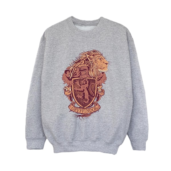 Harry Potter Pojkar Gryffindor Sketch Crest Sweatshirt 7-8 År Sports Grey 7-8 Years