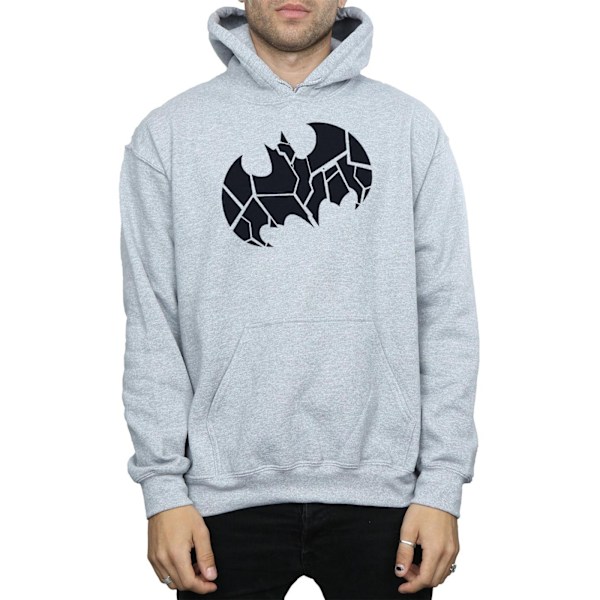 DC Comics Herr Batman One Colour Shield Hoodie S Sports Grey Sports Grey S