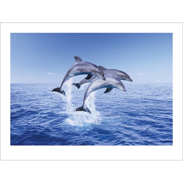 Pyramid International Dolphin Trio Print 30cm x 40cm Blå Blue 30cm x 40cm