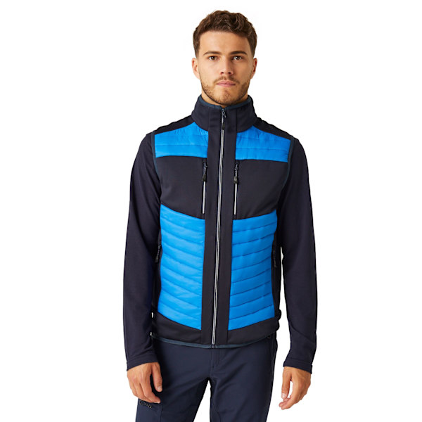 Regatta Professional Unisex Vuxen Termisk Hybrid Kroppsvärmare M Strong Blue/Navy M