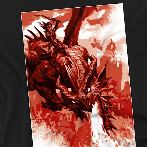 Dungeons & Dragons Herr Dragon Rider Blast T-Shirt M Svart Black M
