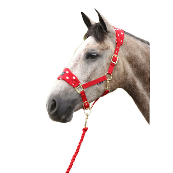 Supreme Products Prickig Fleece Hästgrimma och Ledrep Co Rosette Cob