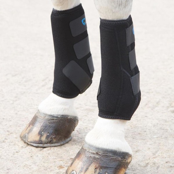ARMA Sports Horse Boots Full Black Black Full