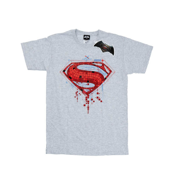 DC Comics Boys Superman Geo Logotyp T-shirt 12-13 år Sport Gre Sports Grey 12-13 Years