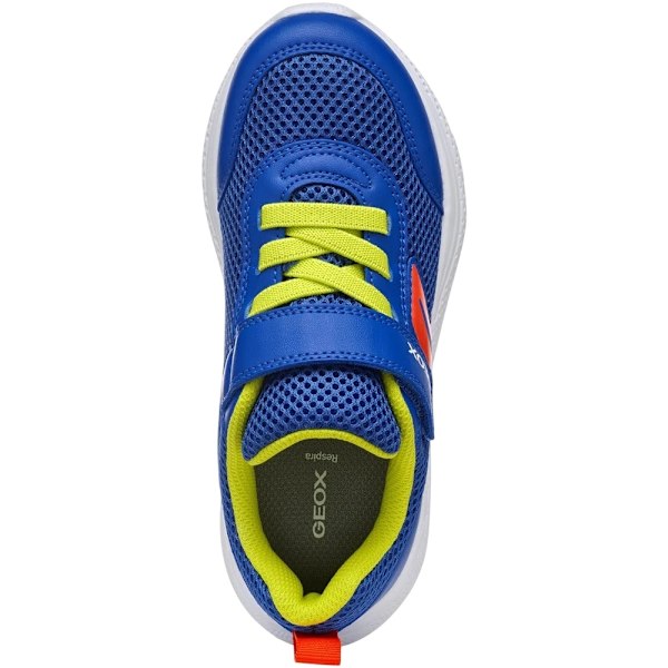 Geox Pojkar J Sprintye Träningsskor 1 UK Royalblå/Röd Royal Blue/Red 1 UK