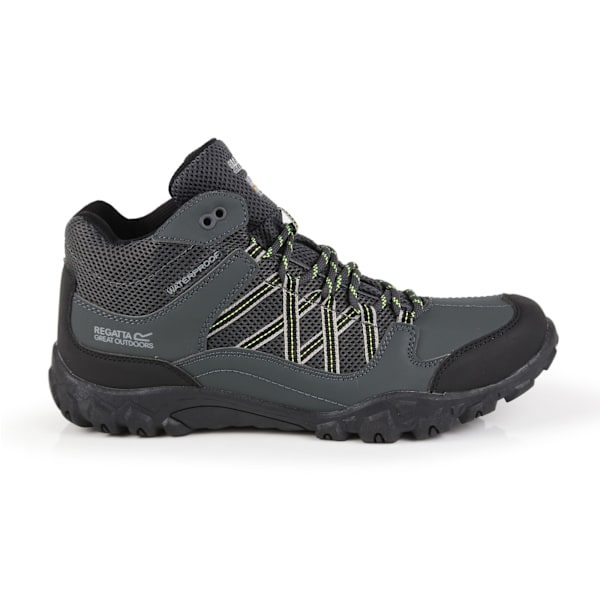 Regatta Edgepoint Mid Vattentäta Vandringskängor för Herr 7 UK Briar/L Briar/Lime Punch 7 UK