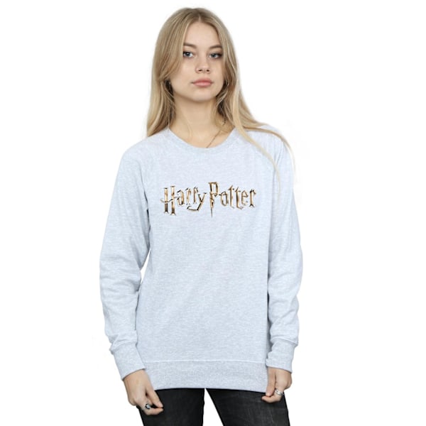 Harry Potter Dam/Dam Full Colour Logo Sweatshirt L Sports Sports Grey L