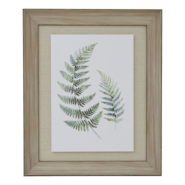 Hill Interiors Fern Duo Träramad Konsttryck 60cm x 5cm x 50cm White/Green/Brown 60cm x 5cm x 50cm