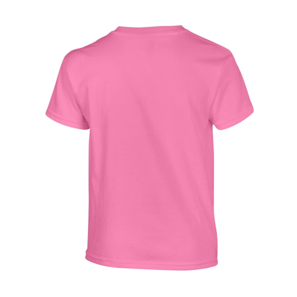 Gildan Barn/Barn Plain Bomull T-shirt 12-13 År Azalea Azalea 12-13 Years