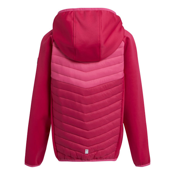 Regatta Barn/Kids Kielder VIII Hybrid Jacka 13 År Rosa Pink Potion/Flamingo Pink 13 Years