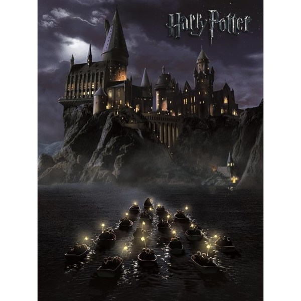 Harry Potter Hogwarts Print 50cm x 40cm Grå Grey 50cm x 40cm