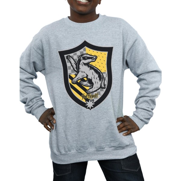 Harry Potter Boys Hufflepuff Crest Flat Sweatshirt 9-11 år S Sports Grey 9-11 Years