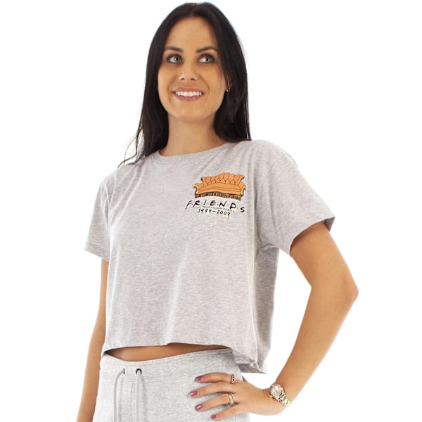 Friends Dam/Damer Central Perk Soffa Crop T-Shirt S Grå Mar Grey Marl S